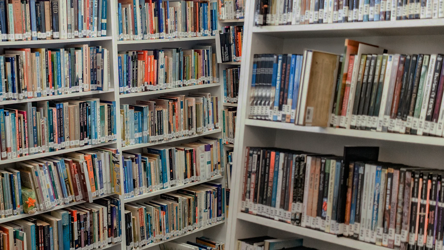 Many books lined up on library shelves.